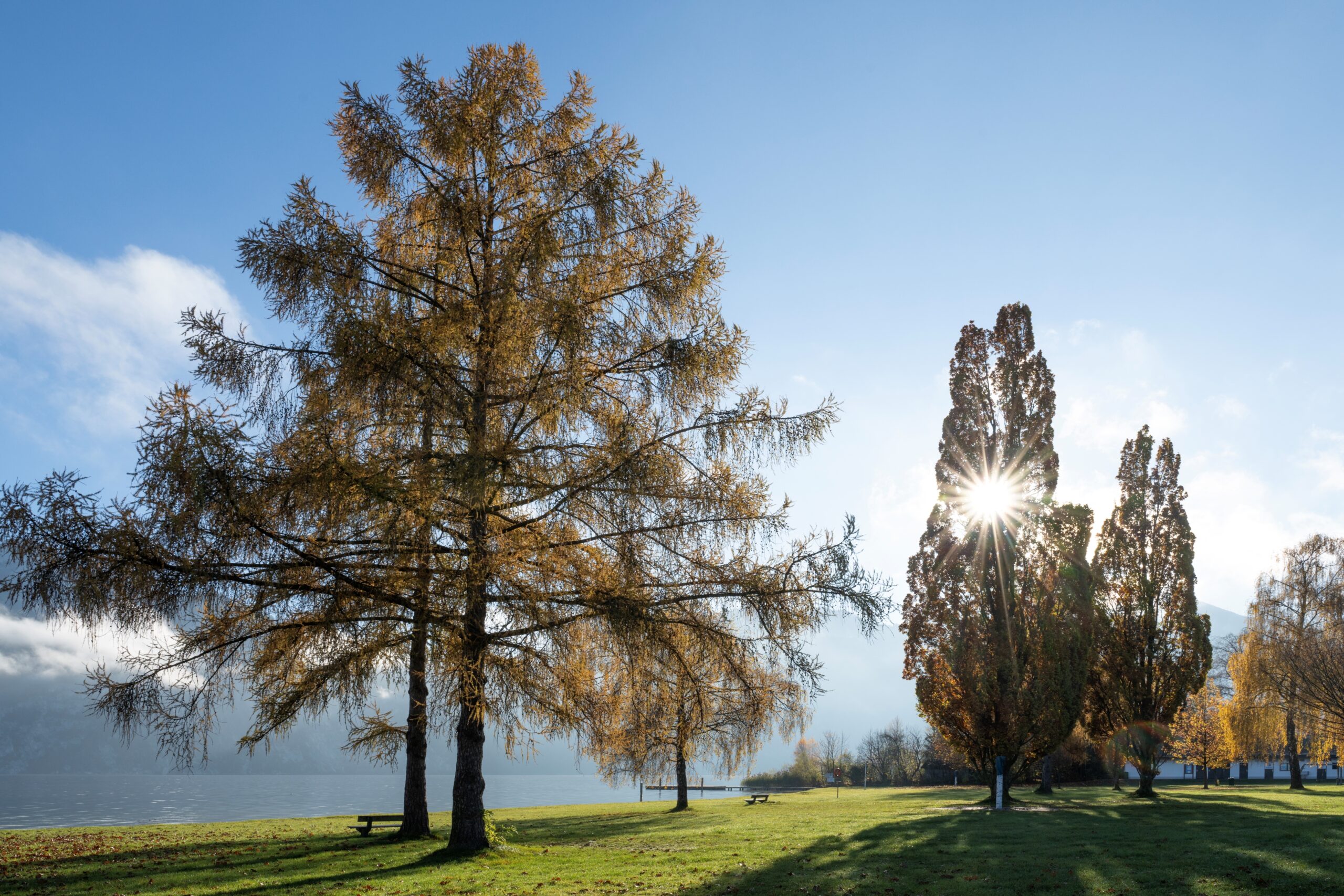 Traunkirchen Bräuwiese